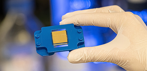 Fototest TEASER Basis 600x310 3 Fototest TEASER Basis 600x310 3