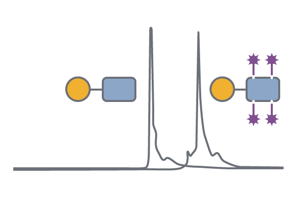 Payload Chromatogram